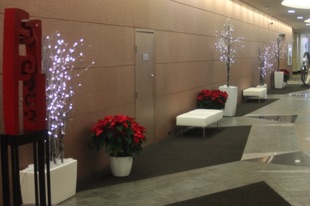 LED Trees in Troughs